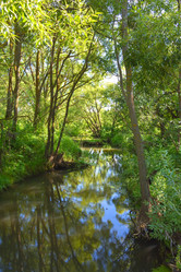 Similar image 21448844