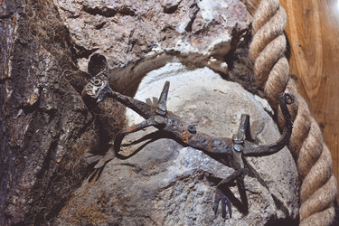 Similar image 21448848