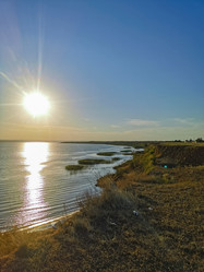 Similar image 21448907