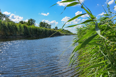 Similar image 21443156