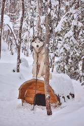 Similar image 21448981