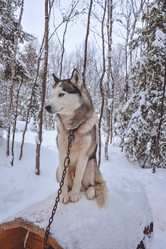 Similar image 21448982