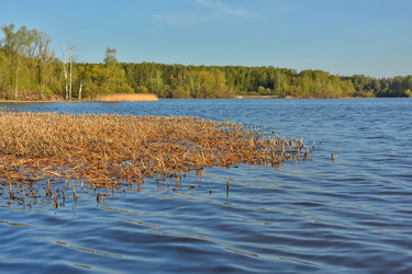 Similar image 21448985