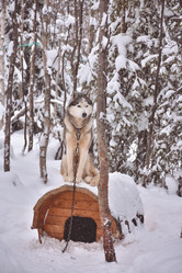 Similar image 21448989