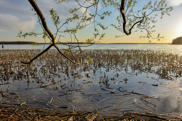 Similar image 21448990