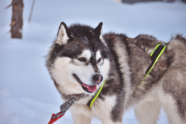 Similar image 21448993