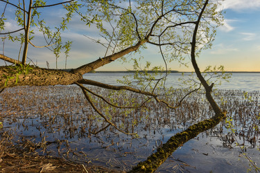 Similar image 21443160