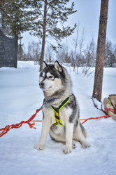 Similar image 21448994