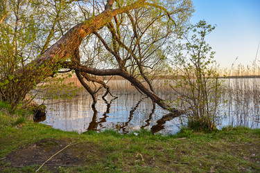 Similar image 21448995