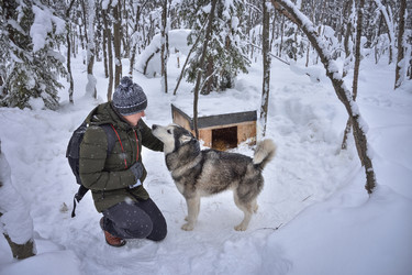 Similar image 21454670