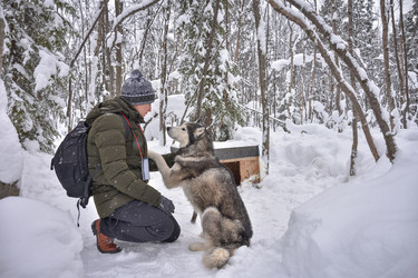 Similar image 21454671