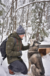 Similar image 21454672