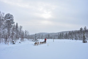 Similar image 21449001