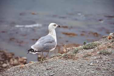 Similar image 21449076