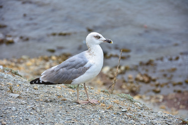 Similar image 21449077