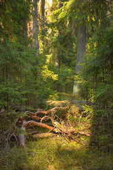 Similar image 21449079