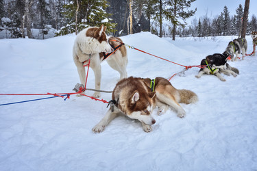 Similar image 21443166