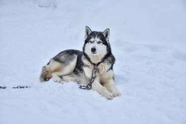 Similar image 21449083