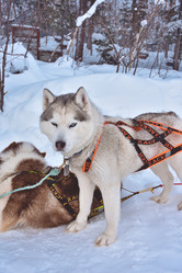 Similar image 21449085