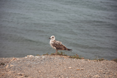 Similar image 21449087