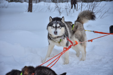 Similar image 21443414