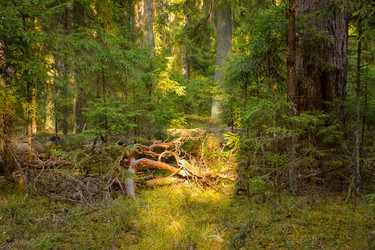 Similar image 21449088