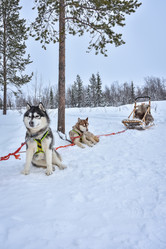 Similar image 21449089