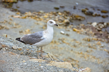 Similar image 21449187