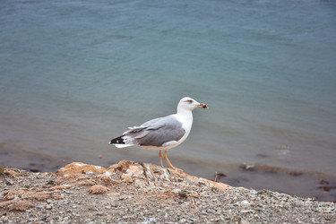 Similar image 21449189