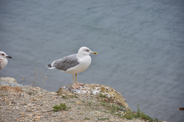 Similar image 21449190