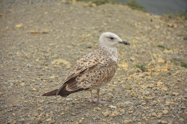 Similar image 21449193