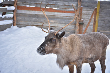 Similar image 21443417