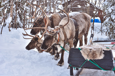 Similar image 21449202