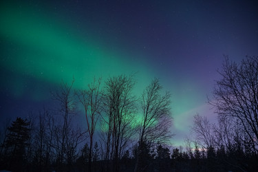 Similar image 21449204