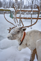 Similar image 21449207