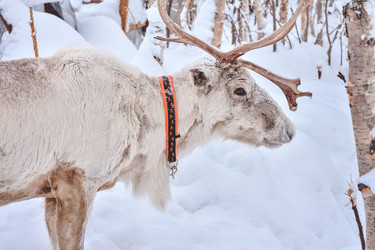 Similar image 21449209