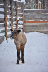 Similar image 21449210