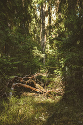 Similar image 21443168