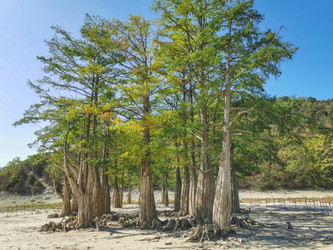 Similar image 21446536