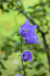 Similar image 21448920