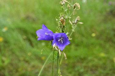 Similar image 21443187