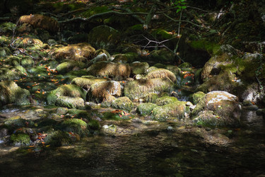 Similar image 21449015