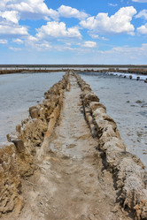 Similar image 21449018