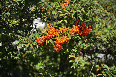 Similar image 21443190