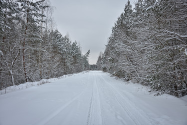 Similar image 21443191