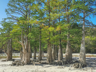 Similar image 21449025