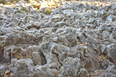 Similar image 21449028