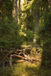 Similar image 21449093