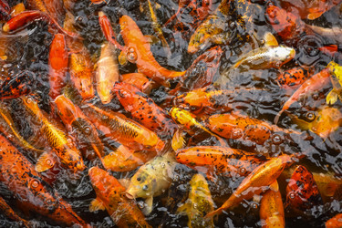 Similar image 21443197