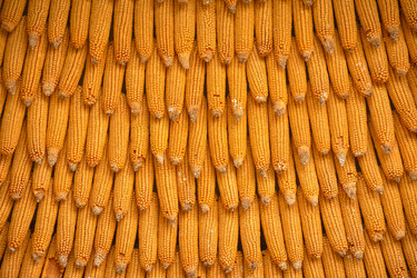 Similar image 21443198